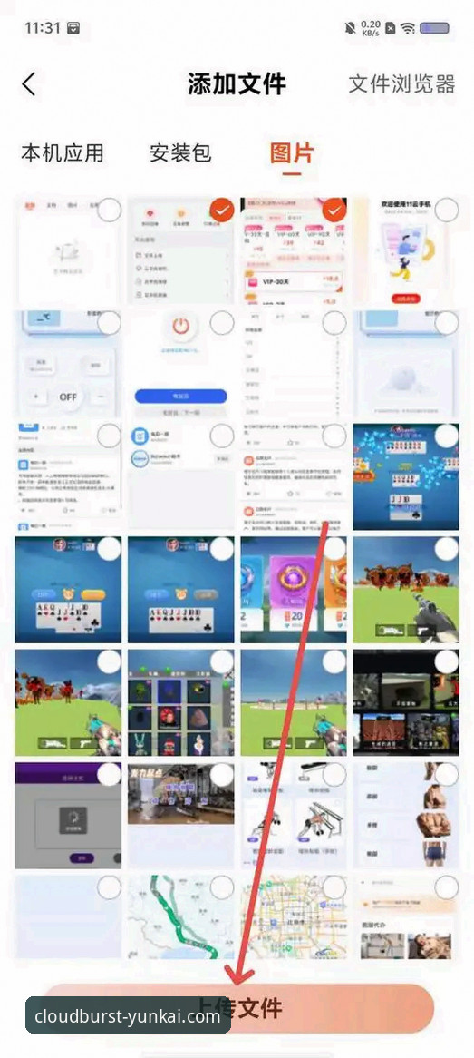 揭秘云开体育app登录的隐藏技巧：老用户才知道的高效玩法